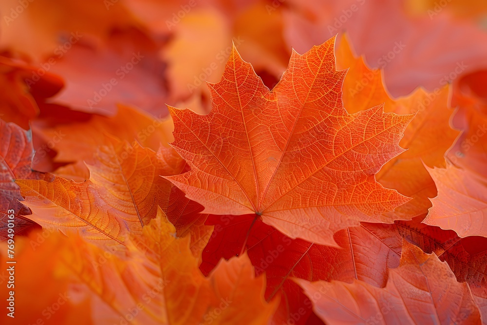 Fototapeta premium Pile of Leaves Scattered on the Ground