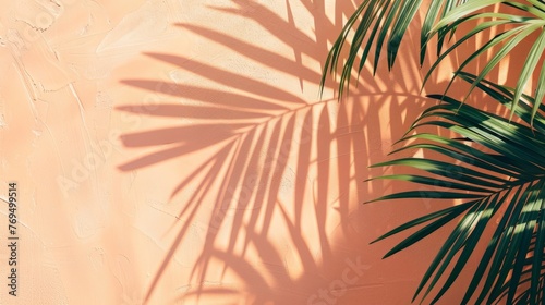 A palm trees shadow falls on a peach wall creating a striking visual contrast  background  wallpaper  copy space