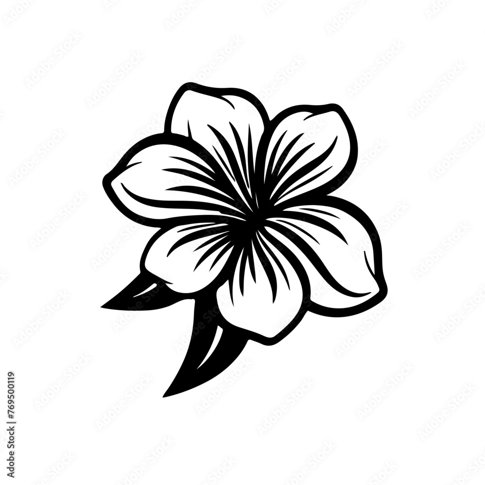 Obraz premium Flowers vector illustration 