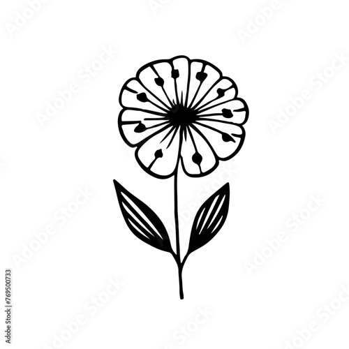 Flower vector illustration 