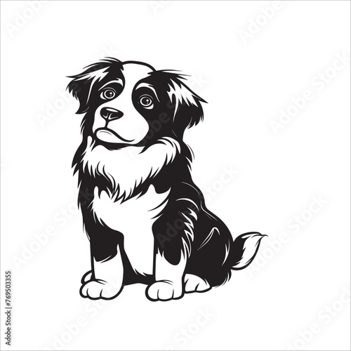 A vector illustration of a black and white Bernese Mountain dog sitting

