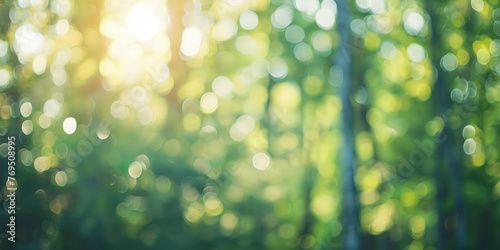 Beautiful rays of sunlight in a green forest  © sambath