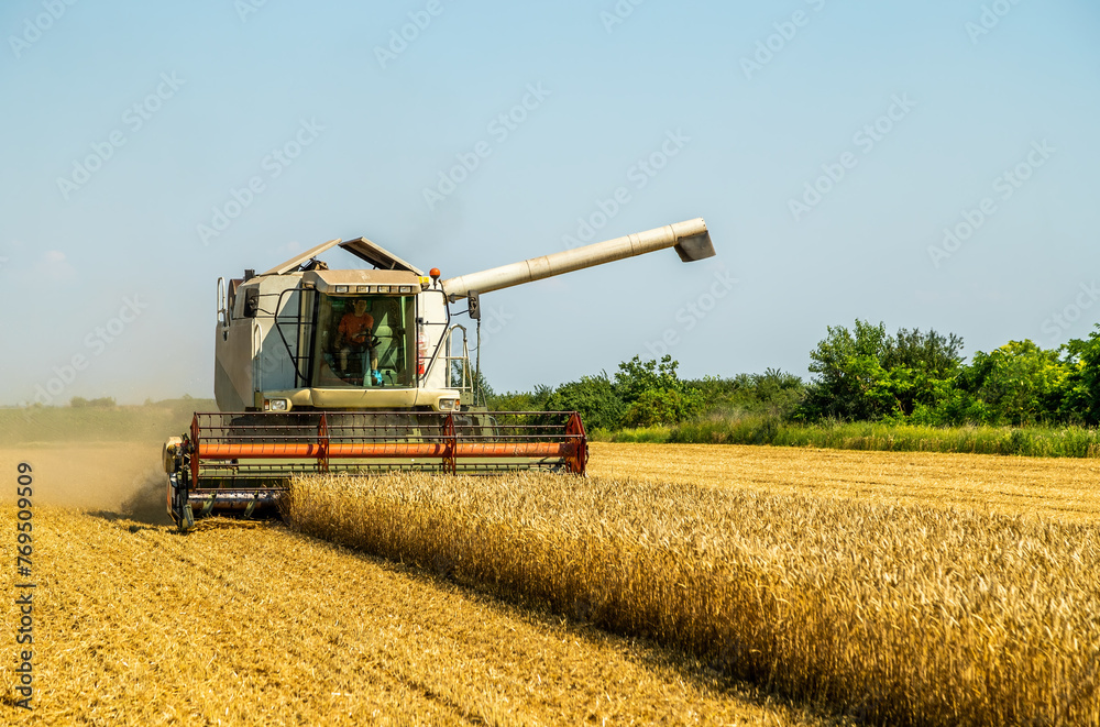 Obraz premium Agriculture machinery at work harvesting golden wheat during sunny day