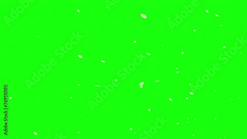 桜の花びらが舞い散る背景動画