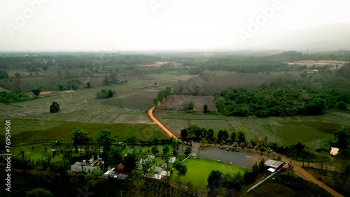 rice terraces in the morning