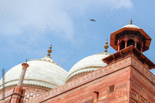 Domes of a building with an entrance gate to the Taj Mahal. Agra, India 