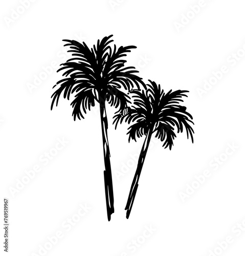 Hand drawn palm tree doodle seamless pattern illustration. Colorful hawaiian print  summer vacation background in vintage art style. Tropical plant painting wallpaper texture. 