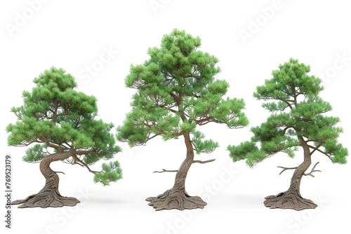 3d illustration of set pinus strobus tree isolated on white background  photo