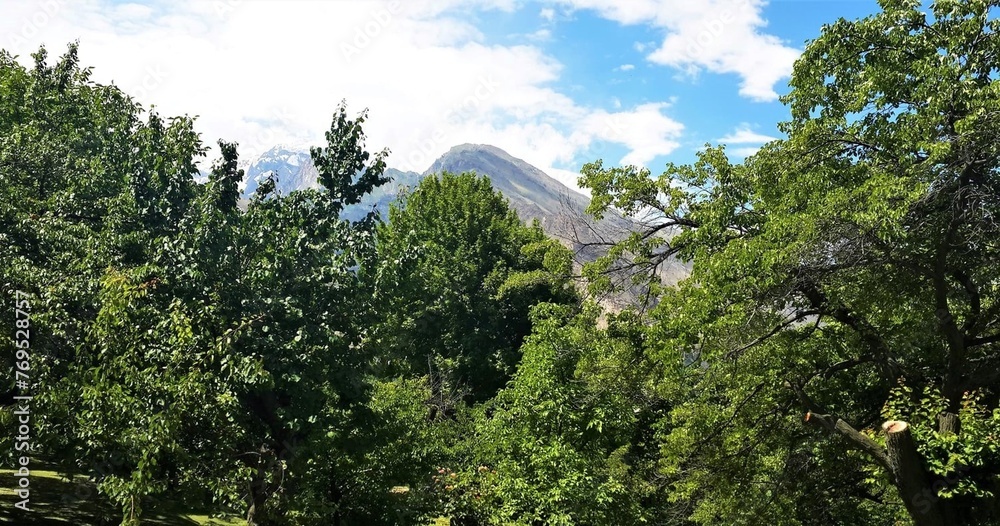 This landscape showcases the beauty of nature, highlighting the mountain and forest during summer.