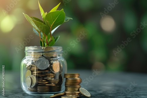 Green money plant in a glass jar with stacks of coins.