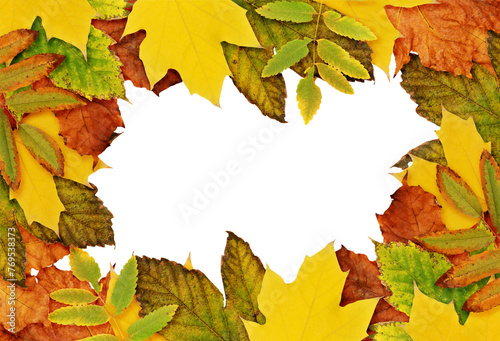 Autumn frame with dried lea...