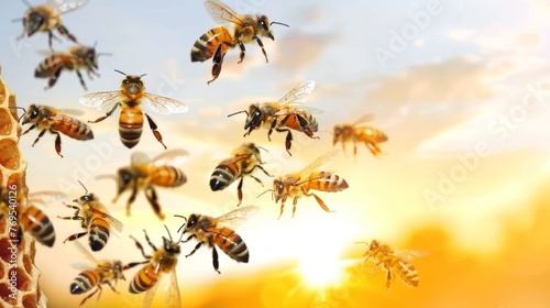 As the sun sets, casting a warm golden glow, bees are silhouetted against the fading light, creating a serene moment of natural beauty.