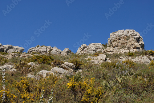 Rock outcrops on the ridge of the Cavall Verd with fan palms, rosemary and gorse in flower under a bright blue sky, near Benimaurell, Vall de Laguar, Alicate Province, Spain