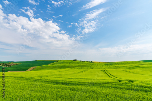 Wide image of green field and bright blue sky