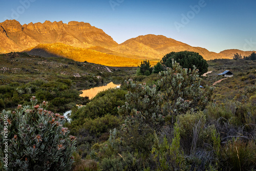 landscape in the morning sun photo