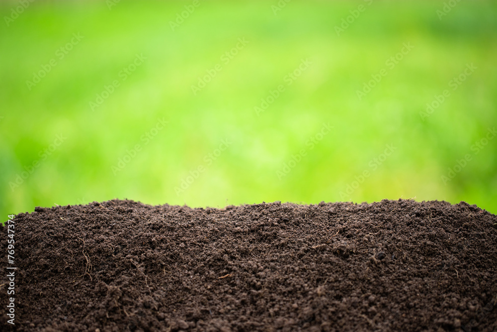 ground heap on a green background. black soil with blurred green grass ground heap on a green background. black soil with blurred green grass