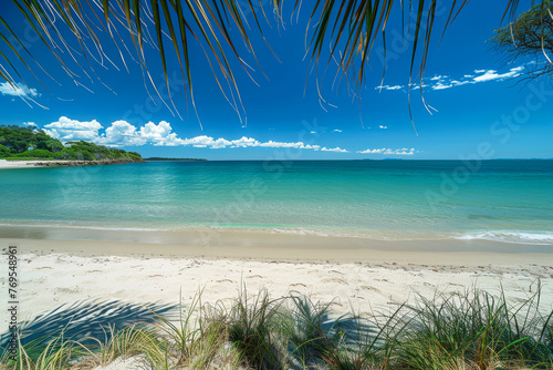Tropical beach with golden sand, crystal clear blue water, and palm fronds in the foreground under a bright blue sky.