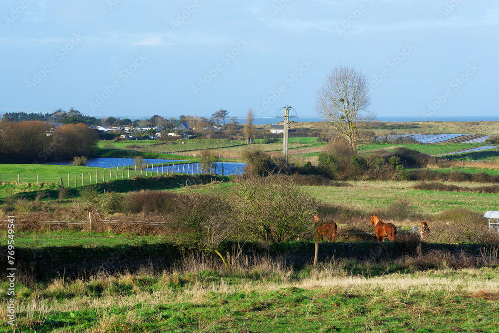 Coastline of MontMatrtin-sur-Mer village in Normandy region