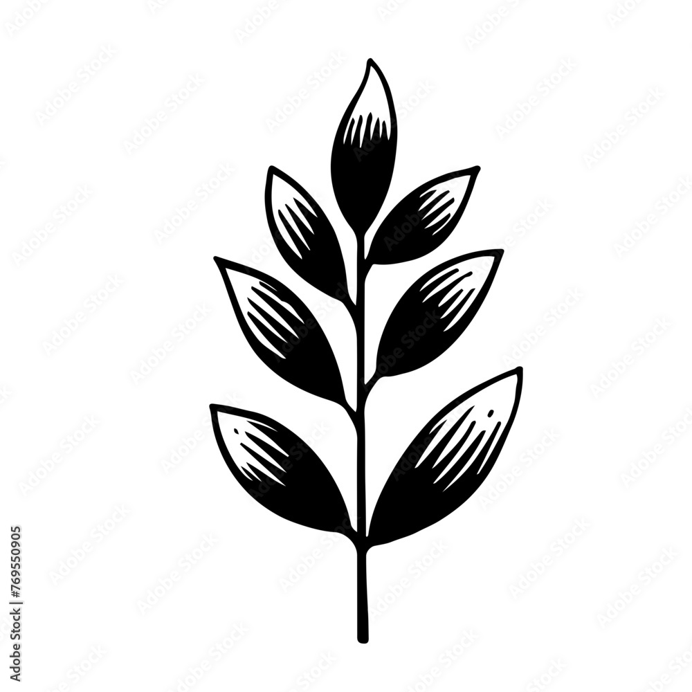Obraz premium Leaf vector