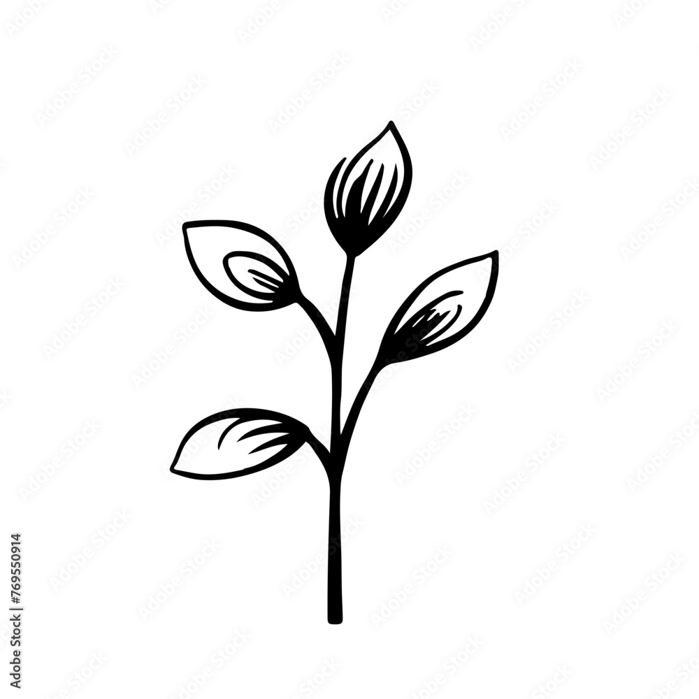 Obraz premium Leaf vector