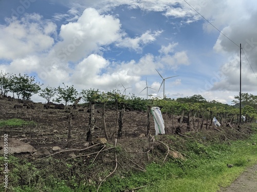 Indonesia's First windmill in sidrap as the new source of renewable energy for Indonesia photo