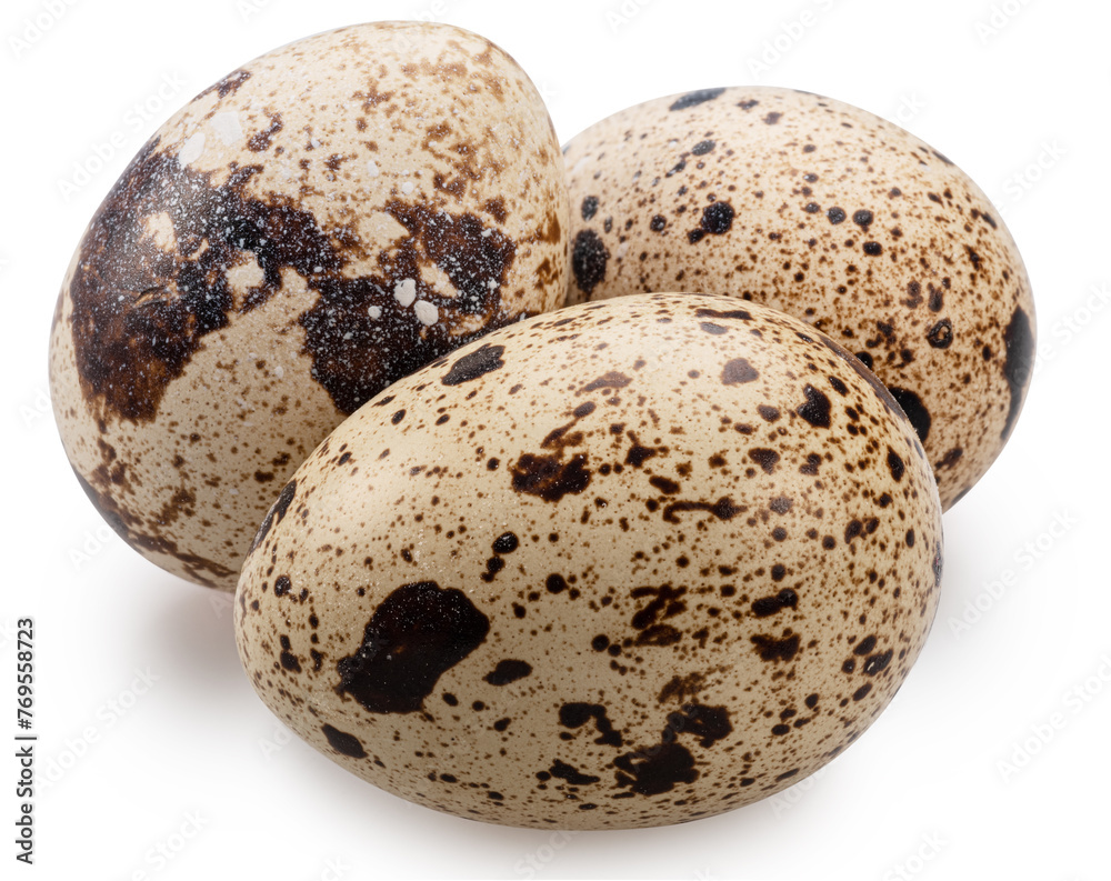 Quail eggs close up. on white background. File contains clipping path. Quail eggs close up. on white background. File contains clipping path.
