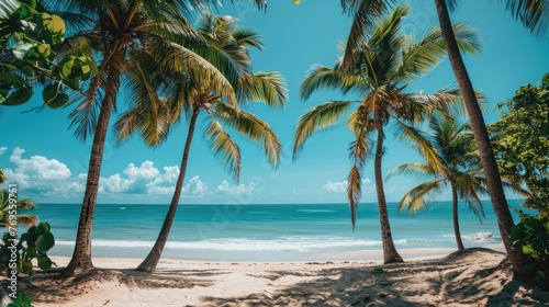 Tropical beach scene,featuring lush,swaying palm trees that frame a picturesque coastline The crystal-clear turquoise waters of the ocean stretch out