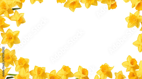 Flower frame borders, floral decoration, transparent background, Flat lay, top view for wedding and anniversary