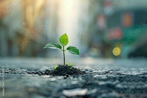 A small plant tree is growing, breaking through the concrete of the city night, concept and symbol of sustainability and renewal, green economy, earth day, reduce co2, Renewable energy, generative ai
