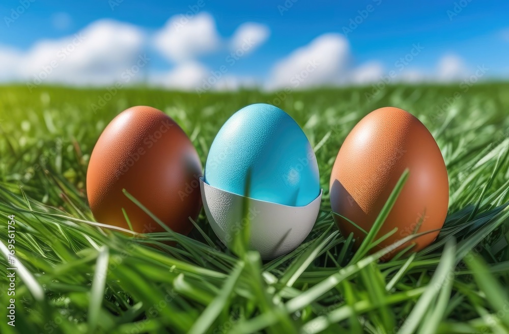 Colored Easter eggs on the green grass in the field.
