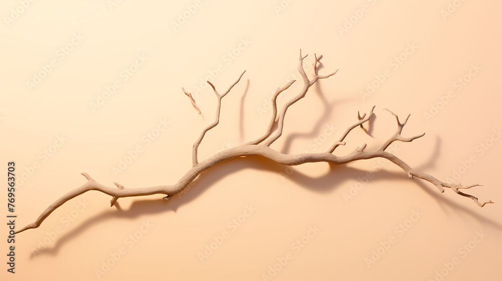 Rough tree trunk in desert landscape Rough tree trunk in desert landscape