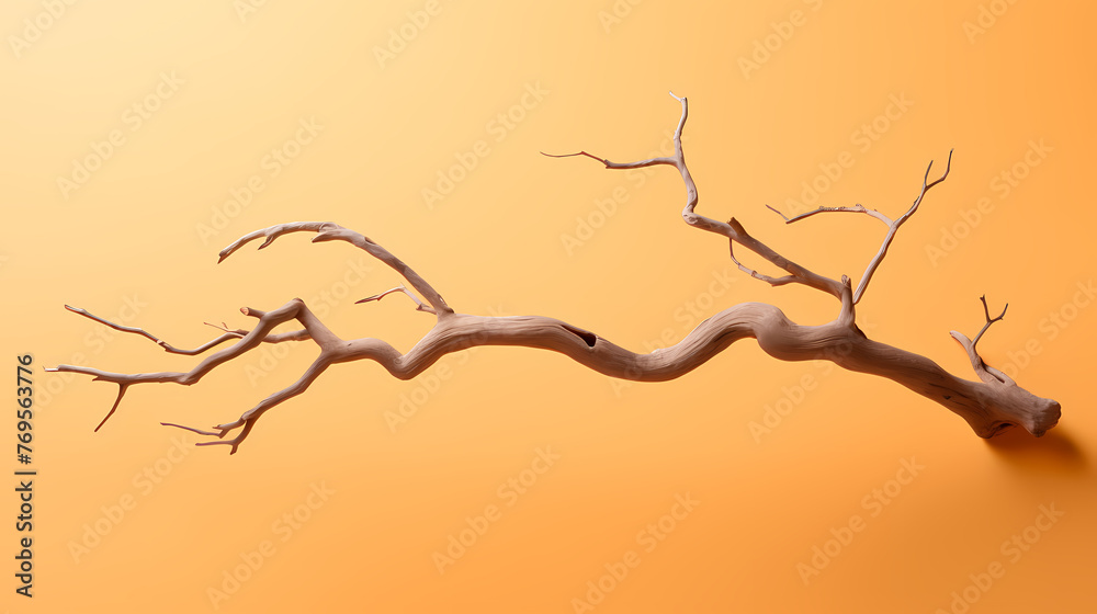 Rough tree trunk in desert landscape Rough tree trunk in desert landscape