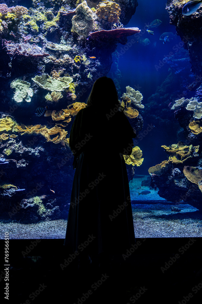 Girl watching the underwater world Girl watching the underwater world