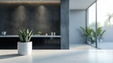 Modern black and white kitchen interior with sleek design and indoor plants

