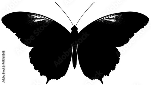 Black butterfly. Butterfly in flight