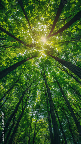 Vertically looking up to trees in a forrest. Green nature. AI Generated