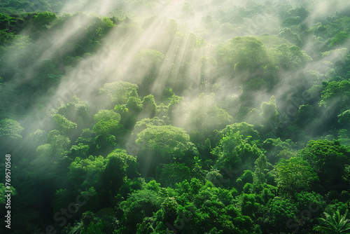 Aerial view of a tropical rainforest during sunrise