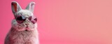 Stylish bunny wearing sunglasses on pink background. Funny portrait of cool feline fashion model with trendy sunglasses. Concept of pet lifestyle, humor, and animal personality.