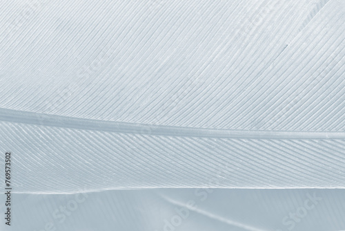 baby blue white feather wooly pattern texture background