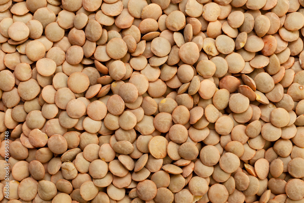Uncooked brown lentils background. Dry brown lentil grains. Top view Uncooked brown lentils background. Dry brown lentil grains. Top view
