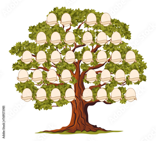 Isolated genealogy family tree, ancestry history branch frames. Pedigree chart vector template, empty photo frames and paper scrolls. Cartoon genealogy tree of family generations, lineage, bloodline