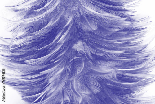 Beautiful dark violet feather pattern texture background , pastel color style