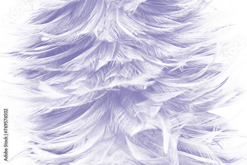 Beautiful dark violet  feather pattern texture background   pastel color style