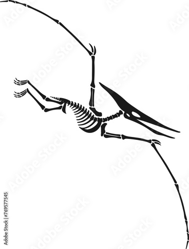 Pterodactylus dinosaur skeleton fossil or Jurassic dino bones, isolated vector. Dinosaur bird or pterosaur reptile archeology fossil skeleton imprint of extinct flying lizard or Pterodactylus dino
