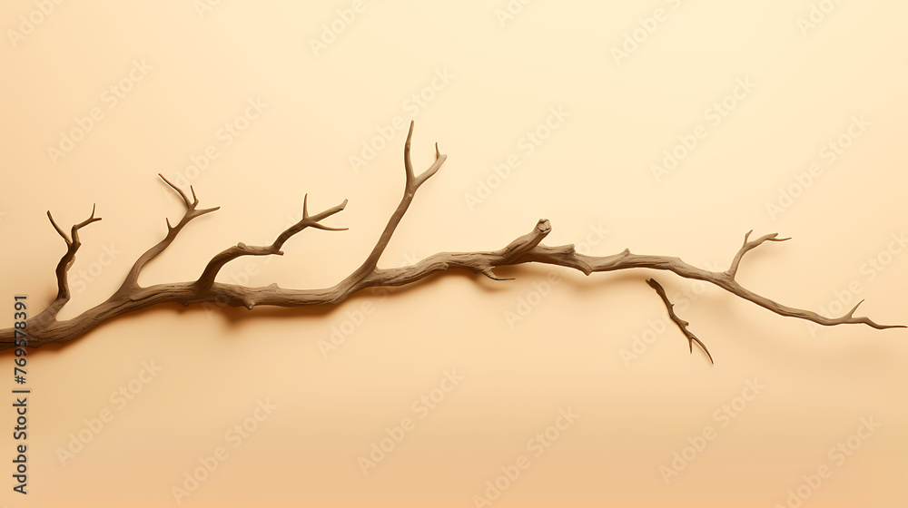 dry tree trunk dry tree trunk