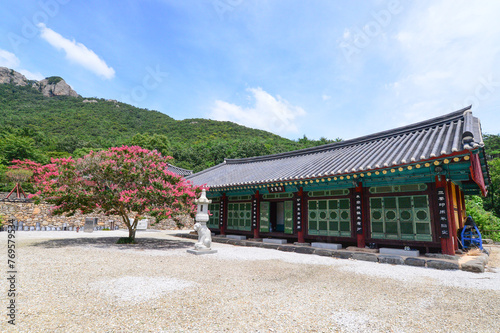 Gaeamsa Buddhist Temple Crape myrtle full bloom in Sangseo-myeon  Buan-gun  Jeollabuk-do  South Korea.