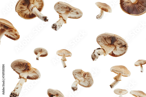 Mushrooms Floating Isolated on Transparent Background