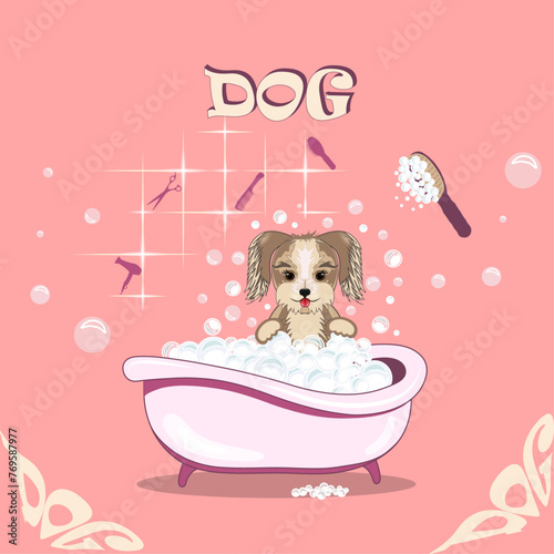 puppy in bath