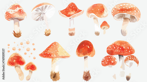 Mushrooms Watercolor flat vector