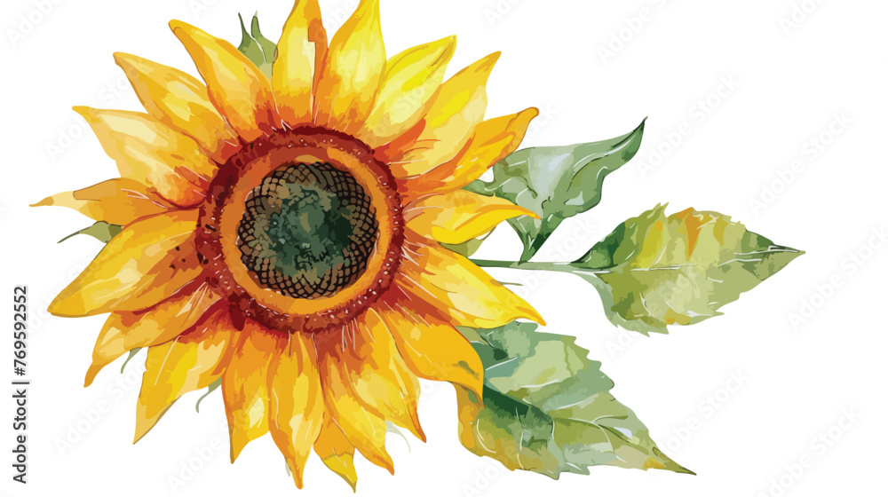 Sunflower watercolor flat vector isolated on white background